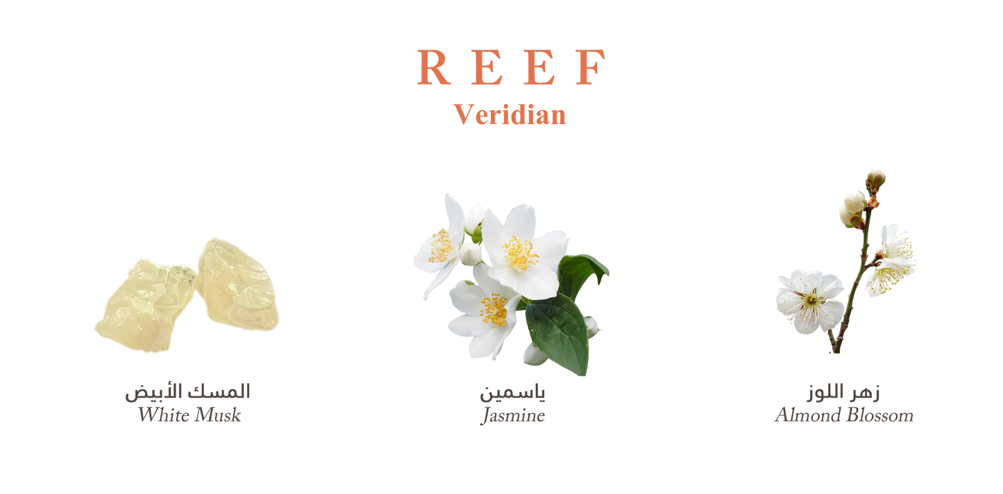 Reef Veridian Perfume 150 ML Parfum عطر الريف الجديد للجنسين