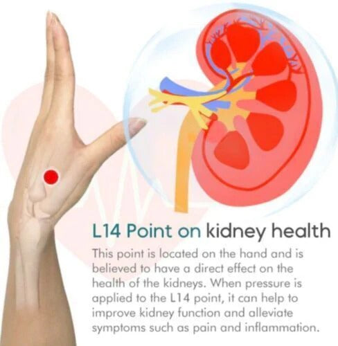 SUGAR CONTROL ACUPRESSURE POINT CLIP
